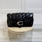 Coach High Quality Handbags 199
