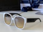 DIOR High Quality Sunglasses 1231