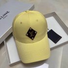 Louis Vuitton High Quality Hats 255