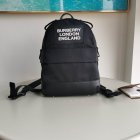 Burberry Original Quality Handbags 17