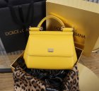 Dolce & Gabbana Original Quality Handbags 354
