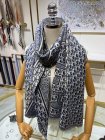 DIOR Scarves 54