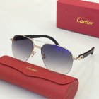 Cartier High Quality Sunglasses 1137