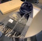Burberry Scarves 204