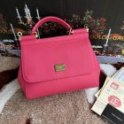 Dolce & Gabbana High Quality Handbags 136