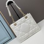 DIOR High Quality Handbags 244