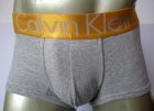 Calvin Klein Men's Underwear 173