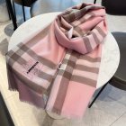 Burberry Scarves 301