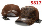 Louis Vuitton Normal Quality Hats 62