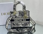 DIOR Original Quality Handbags 461