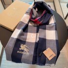 Burberry Scarves 331