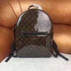 Louis Vuitton Backpack 21