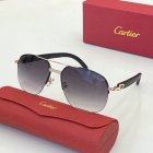 Cartier High Quality Sunglasses 1138