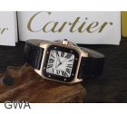 Cartier Watches 161