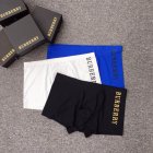 Burberry Men's Underwear 91