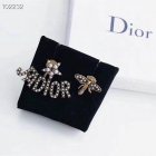 Dior Jewelry Earrings 169