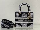 DIOR Original Quality Handbags 1003