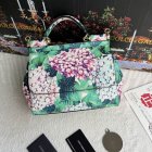 Dolce & Gabbana High Quality Handbags 105