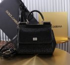 Dolce & Gabbana High Quality Handbags 638