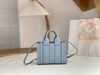 Chloe Original Quality Handbags 373