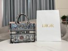 DIOR High Quality Handbags 73