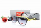Ray-Ban Normal Quality Sunglasses 103