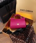 Dolce & Gabbana Original Quality Handbags 403