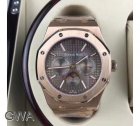 Audemars Piguet Watch 73