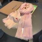 Burberry Scarves 323