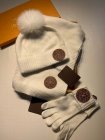 Louis Vuitton Hat & Scarve Set 40