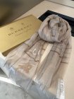 Burberry Scarves 350