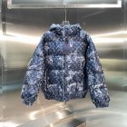 Louis Vuitton Men's Down Jackets 11