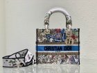 DIOR Original Quality Handbags 893