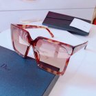 DIOR High Quality Sunglasses 1517
