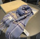 Burberry Scarves 212