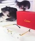 Cartier High Quality Sunglasses 1524