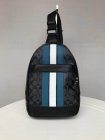 Coach High Quality Handbags 01