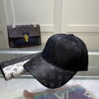 Louis Vuitton High Quality Hats 196