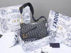 DIOR High Quality Handbags 737