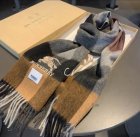 Burberry Scarves 200
