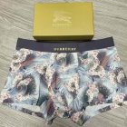 Burberry Men's Underwear 113