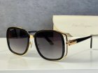 Salvatore Ferragamo High Quality Sunglasses 504