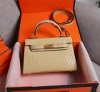 Hermes High Quality Handbags 569
