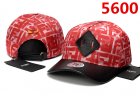 Fendi Hats 23