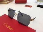 Cartier High Quality Sunglasses 382