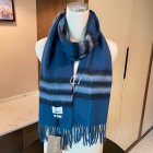 Burberry Scarves 143