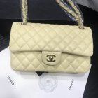 Chanel High Quality Handbags 666