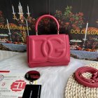 Dolce & Gabbana High Quality Handbags 481
