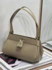 DIOR High Quality Handbags 50