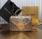 Dolce & Gabbana Original Quality Handbags 129